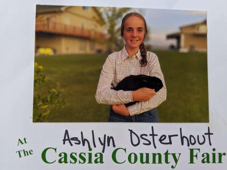 Ashlyn Osterhout Market Rabbit 16.25 - Dutch Goat