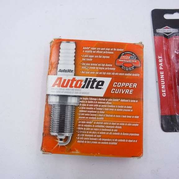 Assorted Lot 4 Pack of Autolite Spark Plugs 3116, 2 Briggs