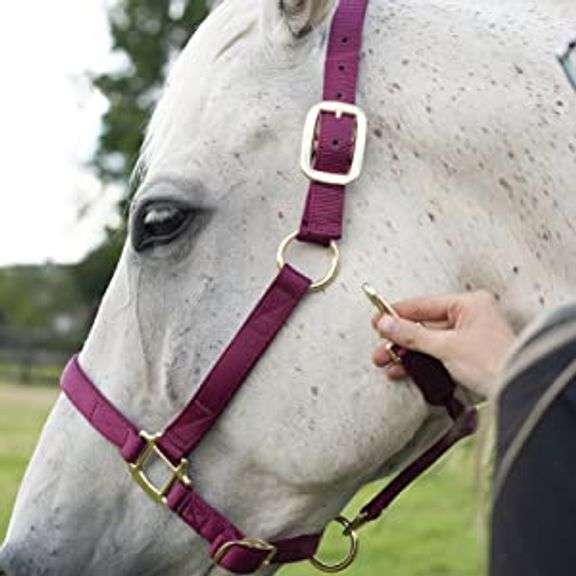 Shedrow Deluxe Halter Size COB Burgundy Dutch Goat