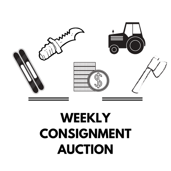 07/11 (Monday 7 pm) Weekly Consignment Liquidation and Estate Auction (10% Buyer's Premium)
