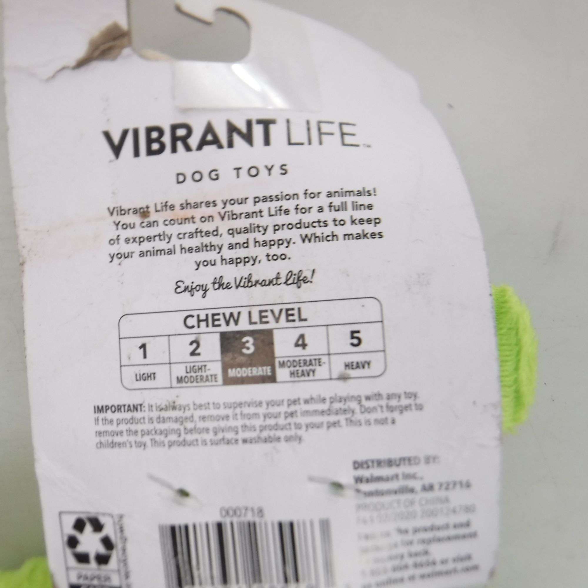 vibrant life cozy buddy sock monkey dog toy