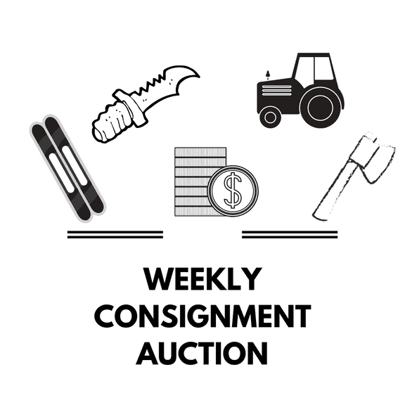 02/13 (Monday 7 pm) Bi Weekly Consignment Liquidation and Estate Auction (10% Buyer's Premium)