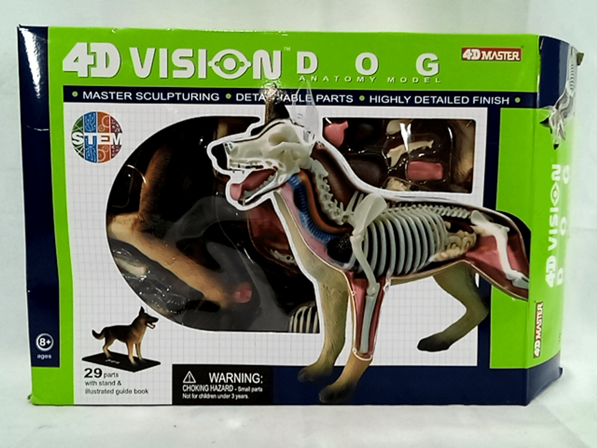 4D Master, 4D Vision Dog Anatomy Model, 29 Pieces, Multi