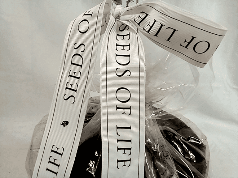 Seeds of Life Tree Kit Dutch Goat