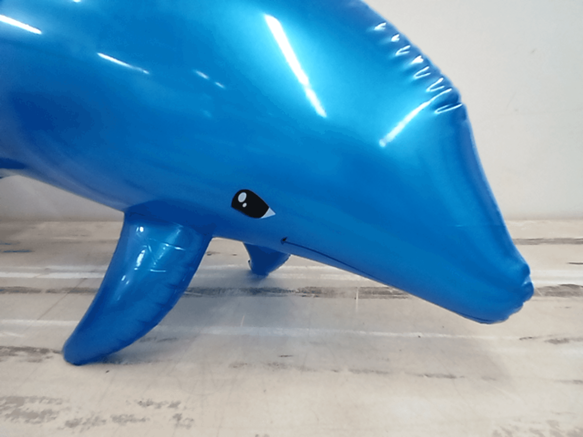 Inflatable Squeaky Blue Dolphin Medium Size - Dutch Goat